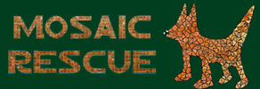 Mosaic Pet Rescue