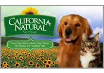 Iams Pet Food