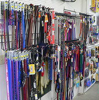Large and Small pet accessories Large and Small pet accessories